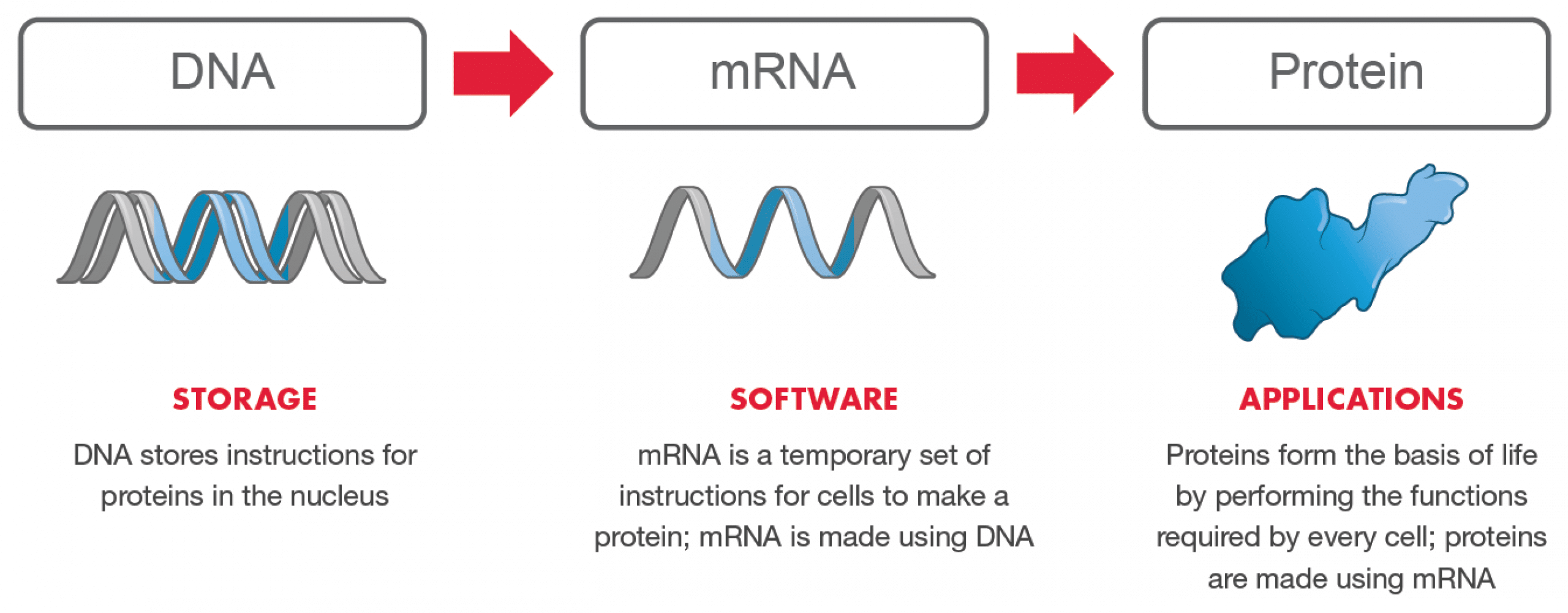 Moderna mRNA-Plattform